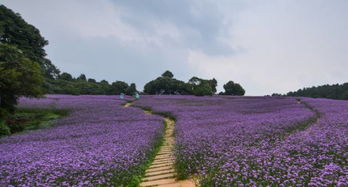 长白山天池， 夏日里的奇迹