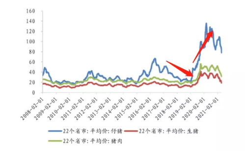 新希望饲料年产2876万吨，全球第一的秘诀是什么？背后的硬核战略解析？
