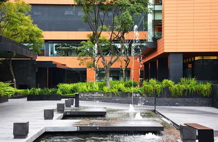 水景设计的灵动魅力