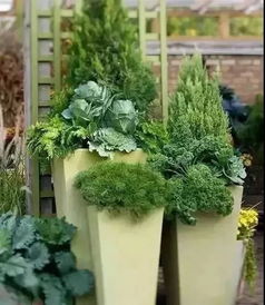 厨余堆肥的制作步骤