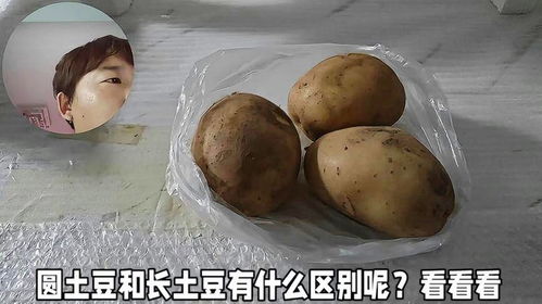 洋芋是土豆吗？它们有什么区别