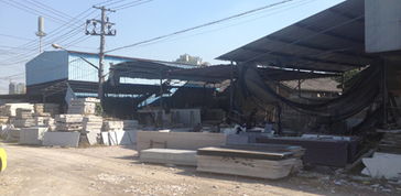 附近苗木批发市场， 品种齐全