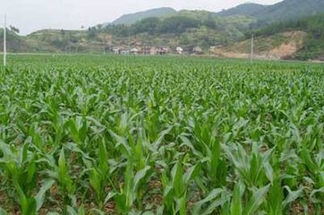 化控药剂的使用