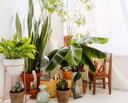 酸碱度， 植物的生长秘密