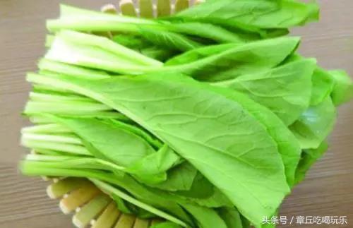 “春季或秋季，哪个时间段最适合在北方地区种植青菜