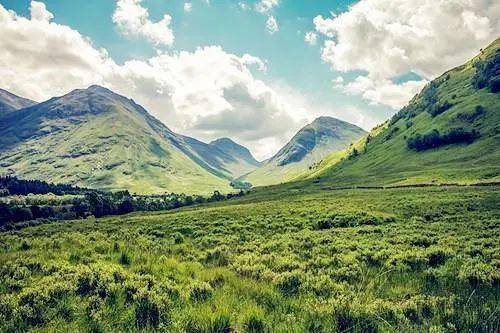 甘肃牧场的成功案例