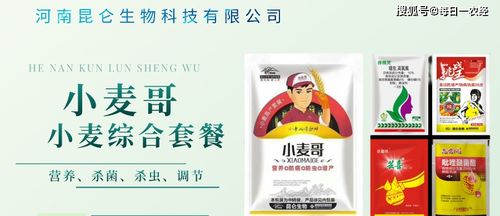小麦除草剂喷施的Zui佳时机揭秘