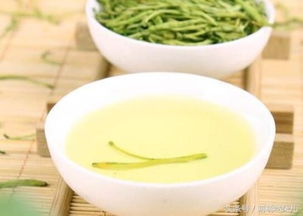 金银花菊花泡水喝，有哪些养生功效和需要注意的禁忌