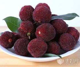 杨梅种子保存大揭秘：视频学习来帮忙