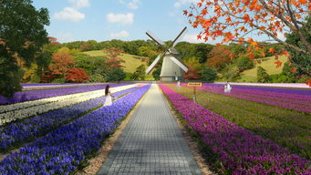 园林景观设计：美观与实用的双重考量