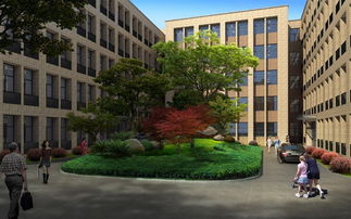 小型办公楼景观设计：一窥门口的独特韵味