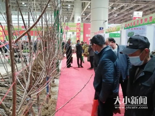 烟台苗木交易会， 一场绿意盎然的盛宴