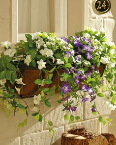 大通县：花的世界， 美的所在