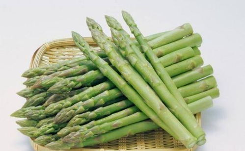 创新绿芦笋保鲜技术，延长花卉生命活力