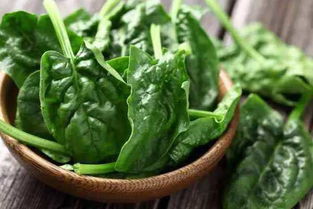 木耳、木耳的品质要求