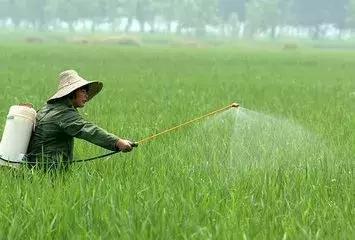 迅速追施速效肥