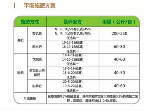 爬藤栽种技术与管理方案