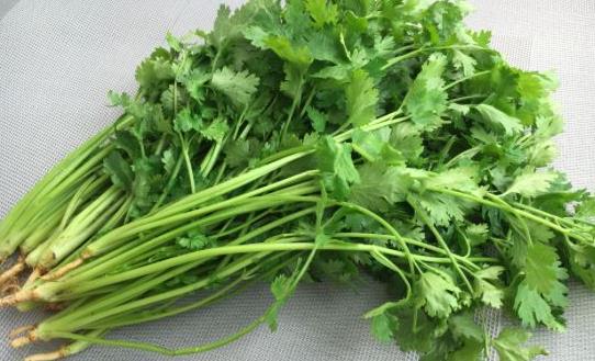 香菜清热解毒，你知道它还有哪些神奇功效吗