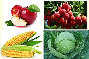 甲维盐与吡虫啉的混合使用及注意事项