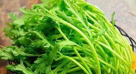 菊花菜与茼蒿：两种蔬菜的“外貌”之争