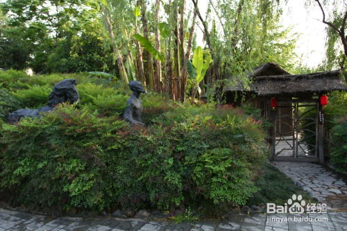 成者阝杜甫草堂的盆栽景观