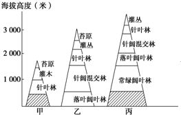 如何通过优化饲料能量利用率因素，有效提升动物饲料的转化效率？