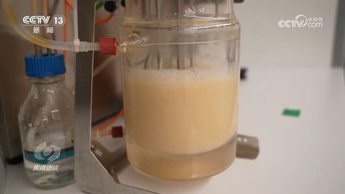 草甘膦的使用与注意事项