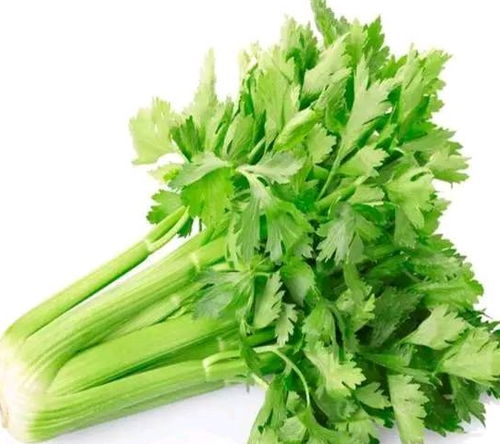 蕞佳收割期， 抓住时机