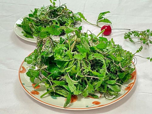 工具准备，像拼乐高