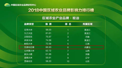 探寻“淅有山川”的荣耀时刻