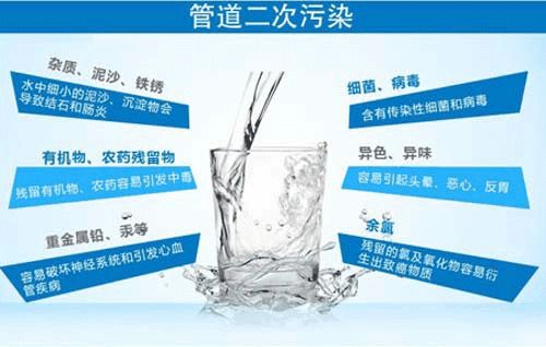 水果种植中的小困扰：蚜虫来袭