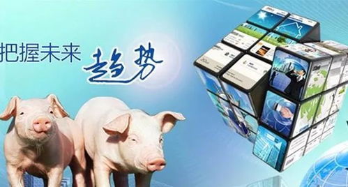 猪精与人精在结构差异上有哪些具体表现？这对畜牧应用价值有何影响？