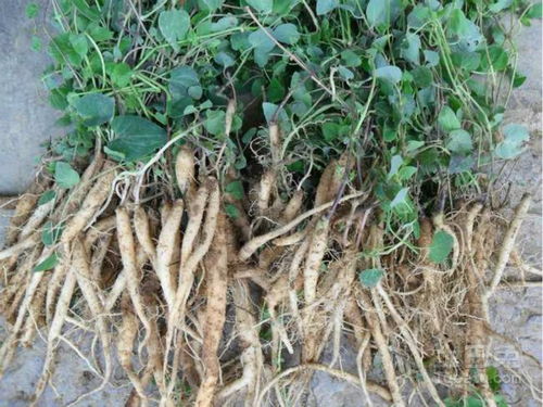 防治措施那些事儿