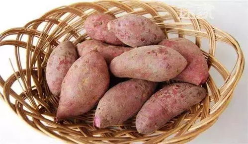 薯大安红薯苗后专用除草剂