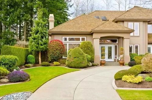 新手种植指南：Zuo好排水， 选对草种