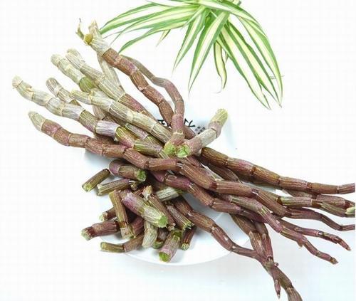 石斛种类有50多种， 其中铁皮石斛为石斛之珍品，，尤以滋阴功效Zui为显著。