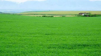 气候差异，影响大