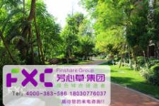 绿化养护，养护和管护，到底有啥区别？