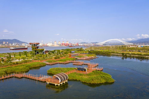 先来聊聊那些不怕水泡的植物