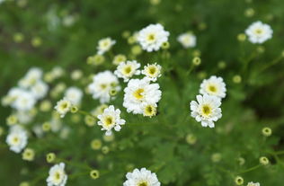 施肥要讲究，不Neng乱来