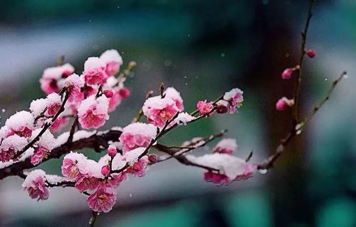 第二步：光线控制，拍出梦幻效果