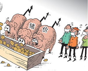 中小养殖户巧应对生猪市场波动