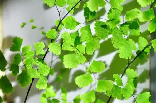 秋末断粮，控水训练，这些啥意思？