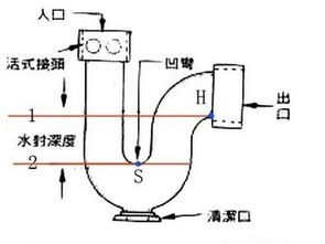 独杆石楠球修剪后的那些事儿