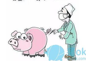 如何运用12kan技巧，轻松防范生猪疾病？