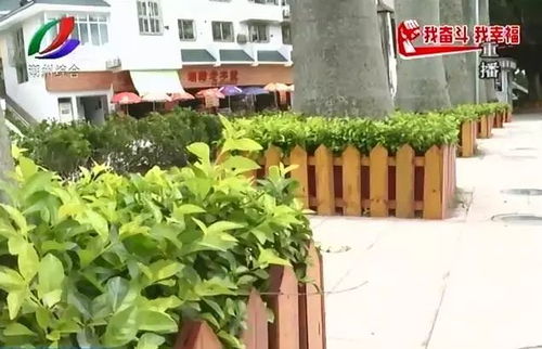 摄像机捕捉到的“道路瞬间”