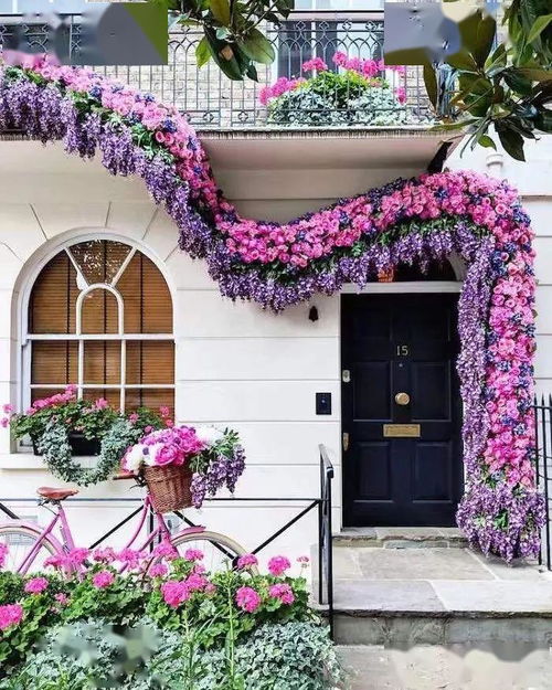 吉祥花卉：带来好运， 福气连连