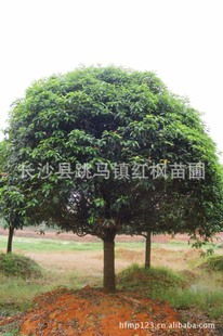 品种齐全， 质量过硬