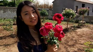 我家美的不要不要的秋..我家美的不要不要的秋日胭脂