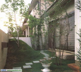 广东庭园种什么草耐热？